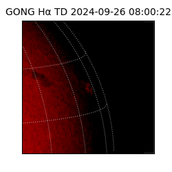gong - 2024-09-26T08:00:22