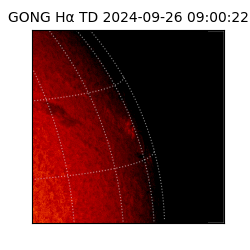 gong - 2024-09-26T09:00:22