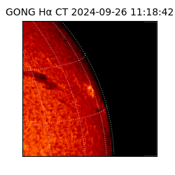 gong - 2024-09-26T11:18:42