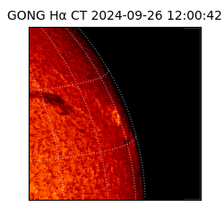 gong - 2024-09-26T12:00:42