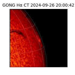 gong - 2024-09-26T20:00:42