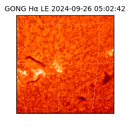 gong - 2024-09-26T05:02:42