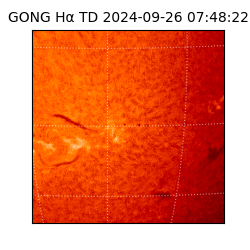 gong - 2024-09-26T07:48:22