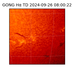 gong - 2024-09-26T08:00:22