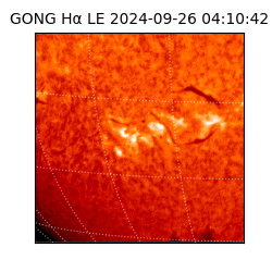 gong - 2024-09-26T04:10:42