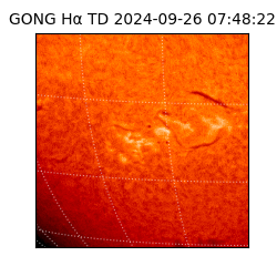 gong - 2024-09-26T07:48:22