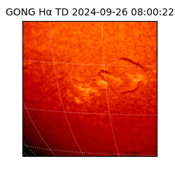 gong - 2024-09-26T08:00:22