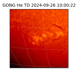 gong - 2024-09-26T10:00:22