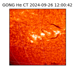 gong - 2024-09-26T12:00:42