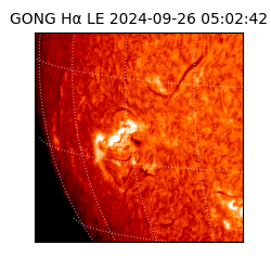 gong - 2024-09-26T05:02:42