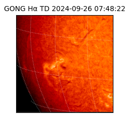 gong - 2024-09-26T07:48:22