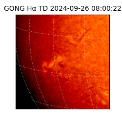 gong - 2024-09-26T08:00:22