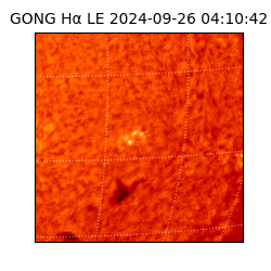 gong - 2024-09-26T04:10:42