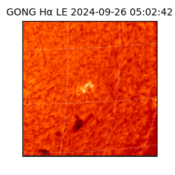 gong - 2024-09-26T05:02:42