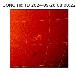 gong - 2024-09-26T08:00:22
