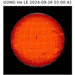 gong - 2024-09-26T03:00:42