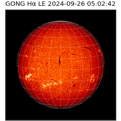 gong - 2024-09-26T05:02:42