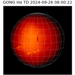 gong - 2024-09-26T08:00:22