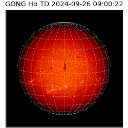 gong - 2024-09-26T09:00:22