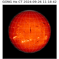 gong - 2024-09-26T11:18:42