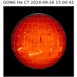gong - 2024-09-26T15:00:42