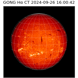 gong - 2024-09-26T16:00:42