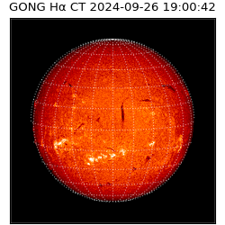 gong - 2024-09-26T19:00:42