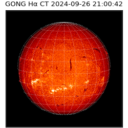 gong - 2024-09-26T21:00:42