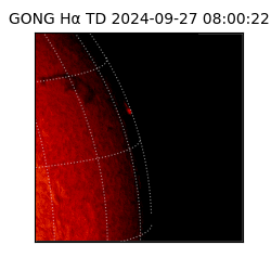 gong - 2024-09-27T08:00:22