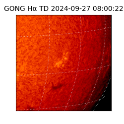 gong - 2024-09-27T08:00:22