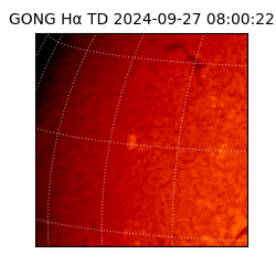 gong - 2024-09-27T08:00:22