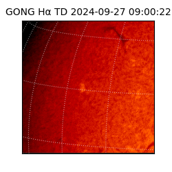 gong - 2024-09-27T09:00:22