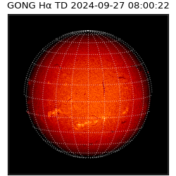 gong - 2024-09-27T08:00:22