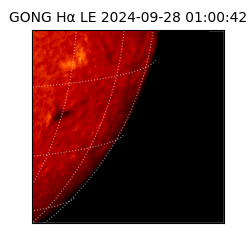 gong - 2024-09-28T01:00:42