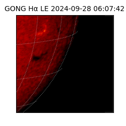 gong - 2024-09-28T06:07:42