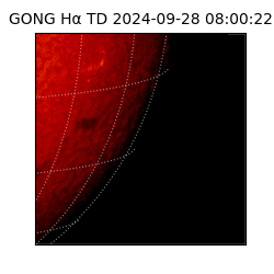 gong - 2024-09-28T08:00:22