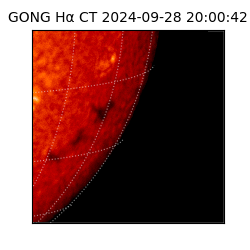 gong - 2024-09-28T20:00:42