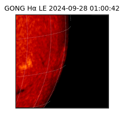 gong - 2024-09-28T01:00:42