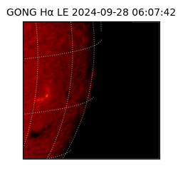 gong - 2024-09-28T06:07:42