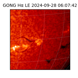 gong - 2024-09-28T06:07:42