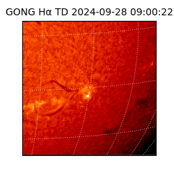 gong - 2024-09-28T09:00:22