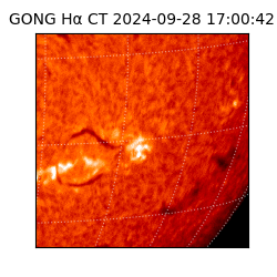 gong - 2024-09-28T17:00:42