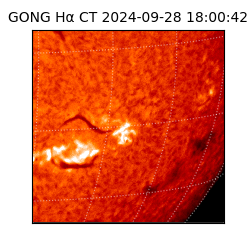 gong - 2024-09-28T18:00:42