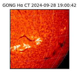 gong - 2024-09-28T19:00:42