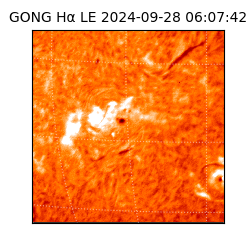 gong - 2024-09-28T06:07:42