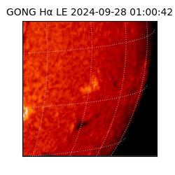 gong - 2024-09-28T01:00:42