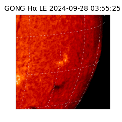 gong - 2024-09-28T03:55:25