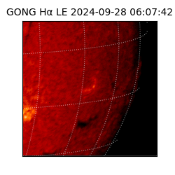 gong - 2024-09-28T06:07:42