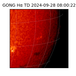 gong - 2024-09-28T08:00:22