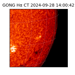 gong - 2024-09-28T14:00:42